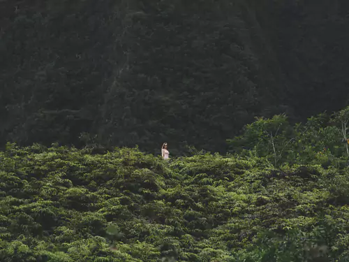 Oahu Botanical Garden