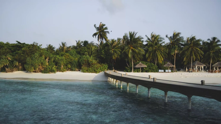 Cover Reethi Faru Resort Review
