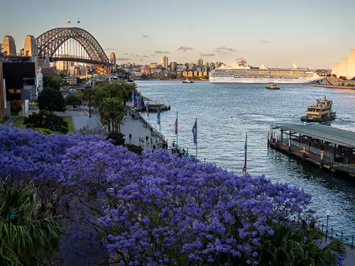 Travel New South Wales - A Shot of the Harbour Bridge in Sydney