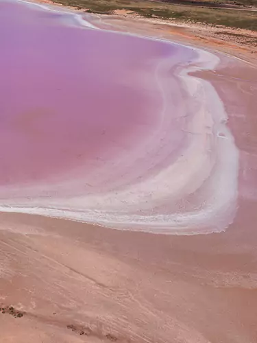 Adelaide Region Pink Lake Bumbunga Lake