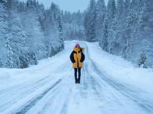 Swedish Lapland Road to Harads